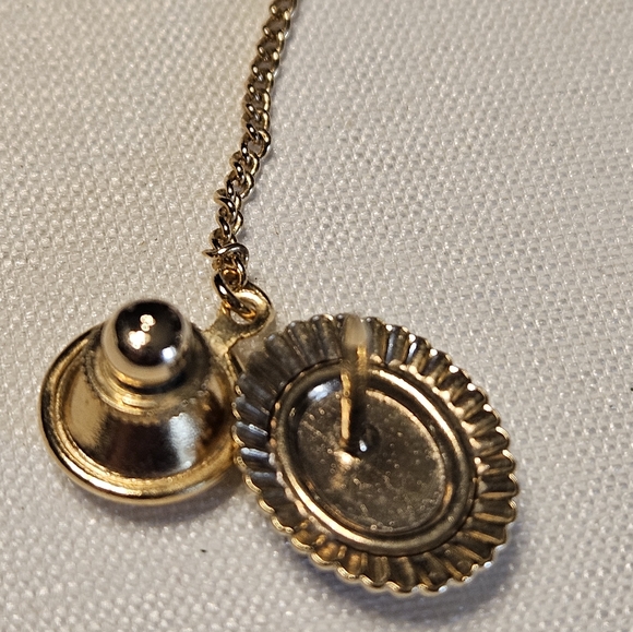 Vintage Agate Stone Tie Tack in a Gold-Tone Setting With T Bar and Chain - Picture 8 of 13